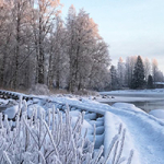 Niilo Mäki Instituutin tammikuun uutiskirje on julkaistu!