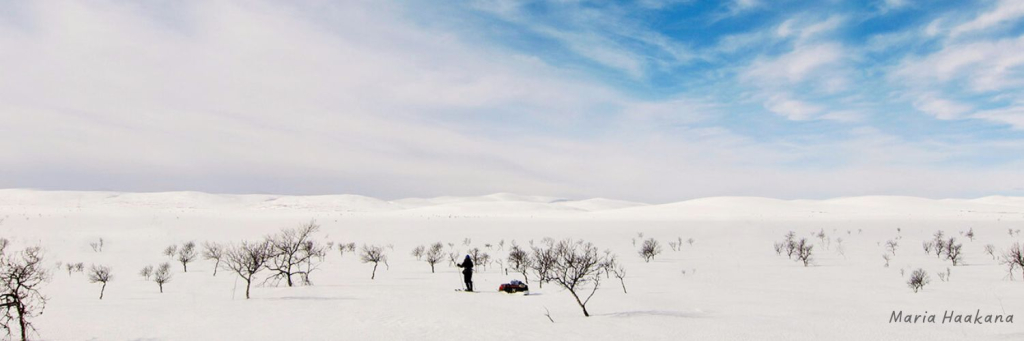 Tutustu maaliskuun uutiskirjeeseen