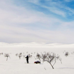 Maaliskuun uutiskirje on julkaistu!