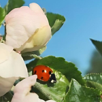 Toukokuun uutiskirje on julkaistu!