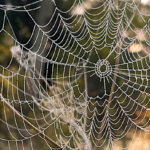 Lokakuun uutiskirje on julkaistu!