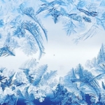 Joulukuun uutiskirje on julkaistu!