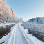 Tammikuun uutiskirje on ilmestynyt!