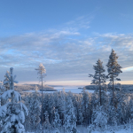Maaliskuun uutiskirje on ilmestynyt!